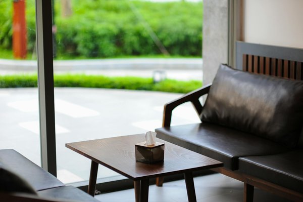 Top-Notch Strategies for Socializing Your Puppy with Other Pets: Expert Insights and Proven Techniques